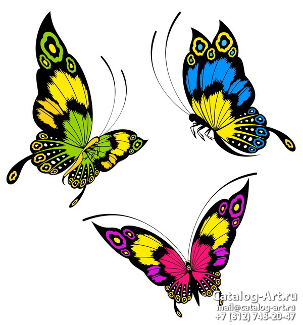  Butterflies 71